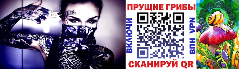 Купить  Лахденпохья  Псилоцибиновые грибы Psilocybine cubensis 